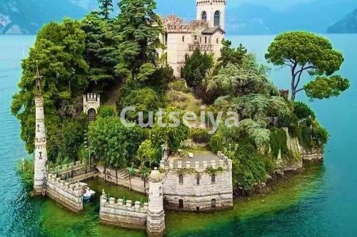 Memahami Analisis Fundamental