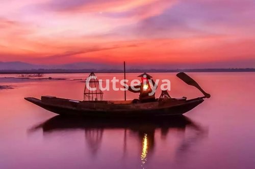 Perdagangan Forex Otomatis Terbaik