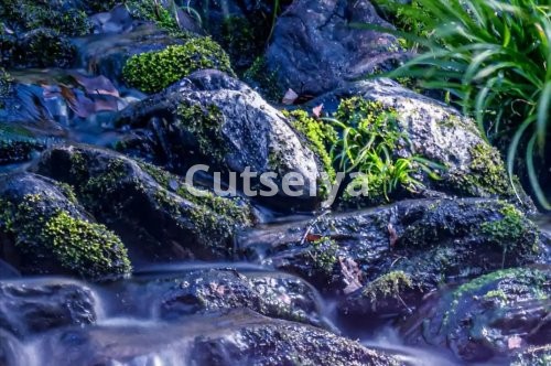 Panduan Pemula Dasar-Dasar Forex